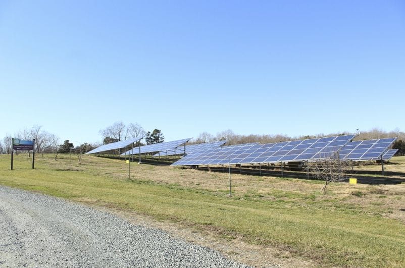 Resource Box Header ARTICLE: 'It sort of exploded': the rapid rise of solar energy in North Carolina