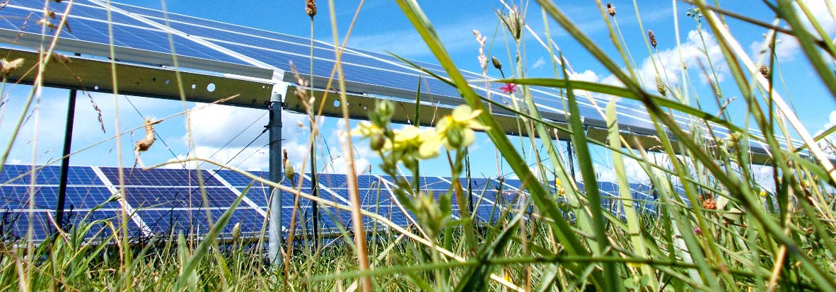 Resource Box Header City Utilities of Springfield dedicate largest solar farm in Missouri